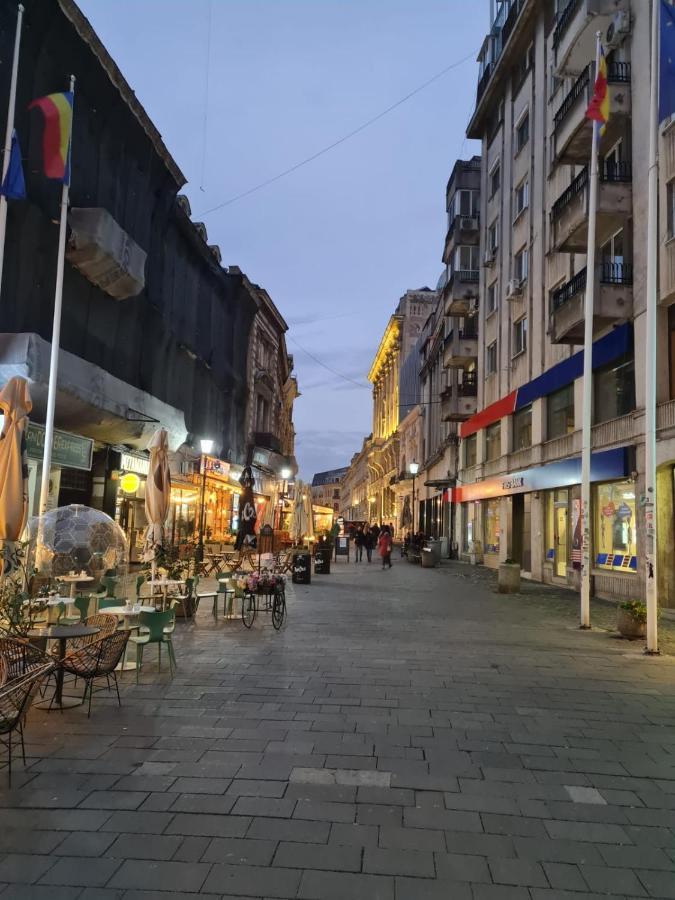 Color Ap Calea Victoriei 12C Leilighet Bucureşti Eksteriør bilde